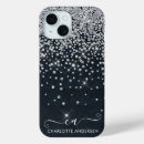 Search for black silver cases Glitter