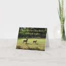 Search for shepherds photography Nature