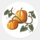 Search for harvest stickers Trendy