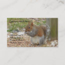 Search for squirrels business cards Animals