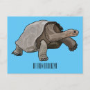 Search for tortoises postcards Shell