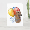 Search for akc cards Dog