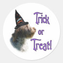 Search for pointing stickers Animals