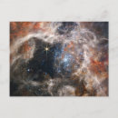Search for tarantula postcards Galaxy