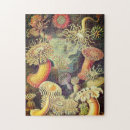 Search for marine life puzzles Ocean