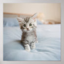 Search for maine coon cat art Cute