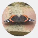 Search for admiration stickers Butterfly