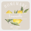Search for lemon square stickers Country summer