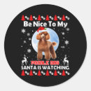 Search for poodle stickers Cartoon