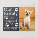 Search for black white dog invitations New pet