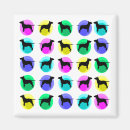 Search for bullies magnets English bull terrier