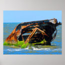 Search for shipwrecked posters Beach