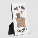 Search for funny cat plaques Kitten