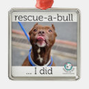 Search for rescue christmas tree decorations Pitbull