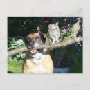 Search for tiny postcards Cute
