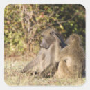 Search for animal park stickers Outdoors