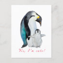Search for bird lover postcards Birds