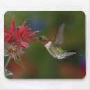 Search for ruby throated mousepads Flight