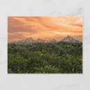 Search for grand teton mountains postcards Forest