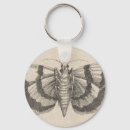 Search for entomology key rings Nature