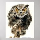 Search for digital realism Wildlife