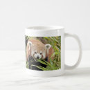 Search for red panda mugs Asia
