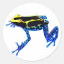Search for amphibians stickers Poison dart frog