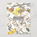 Search for lichen postcards Nature