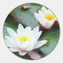 Search for lilly stickers Lilies