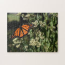 Search for monarch butterfly puzzles Butterflies