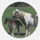 Search for mare and foal stickers Standing