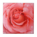 Search for drop tiles Flower