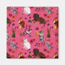 Search for kitten magnets Kitty