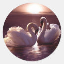 Search for digital animals stickers Birds