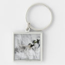 Search for volcano key rings Eruption