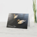 Search for swan image Water