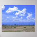 Search for plain posters Kenya