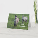 Search for cute sympathy cards Animal