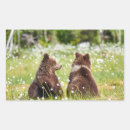 Search for two bears stickers Friendship