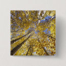 Search for fall colour badges Tree