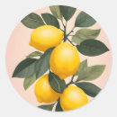 Search for lemons stickers Minimalist