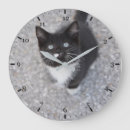 Search for coated photography Animal