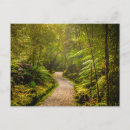 Search for footpath postcards Tree
