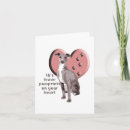 Search for greyhounds cards Animals
