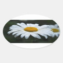 Search for oval face stickers Nature