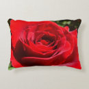 Search for bright floral cushions Rose