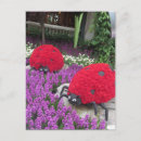 Search for for sons girlfriend cards Dad