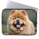 Search for chow chows electronics Pets