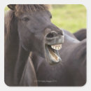Search for horse head stickers Outdoors