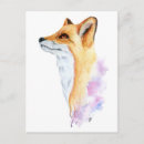 Search for wild fox postcards Illustration